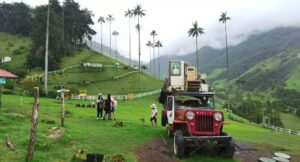 cropped valle cocora 1 3